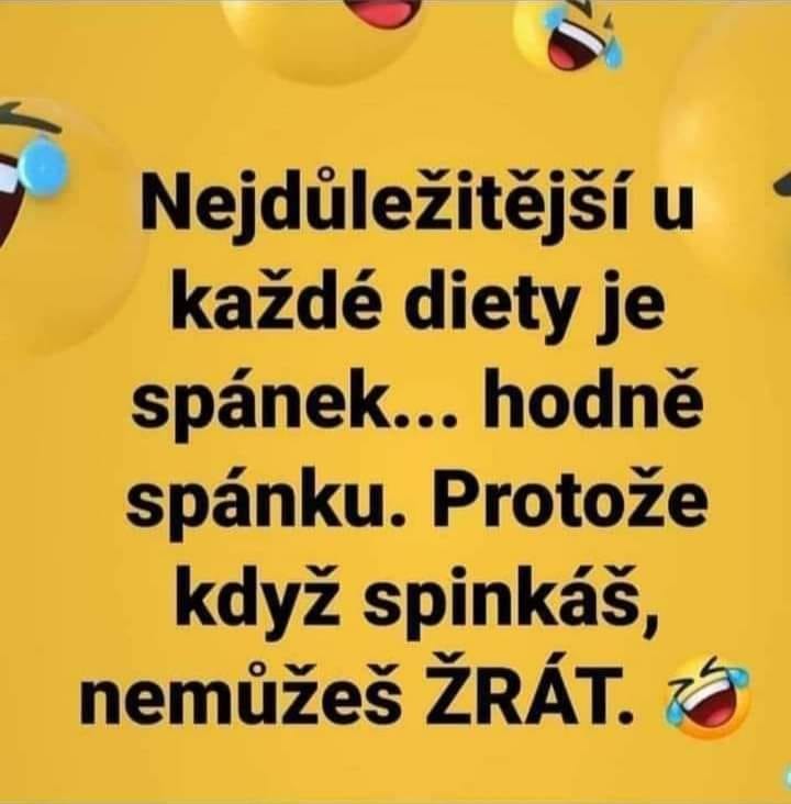 Dieta Nejlep esk Vtipy